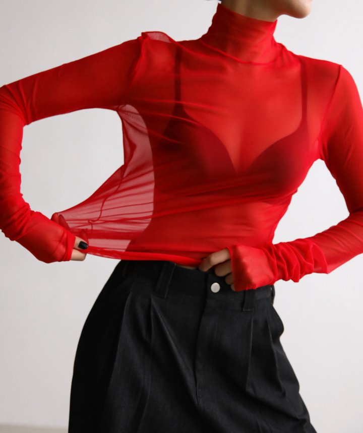 Paper Moon - Korean Women Fashion - #pursuepretty - Mesh Sheer Turtleneck Long Sleeved Tee