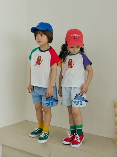 Raglan Tee