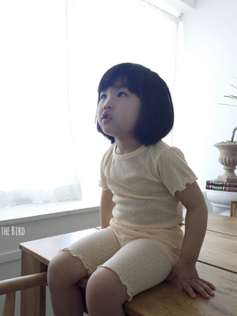 Eyelet Mesh Short Sleeve Easywear