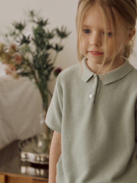 2025 Basic Short Sleeve Collar Knit 2025 Basic Short Sleeve Collar Knit