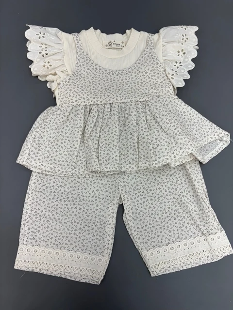 Wings Set Wings Set