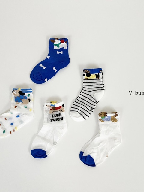 Five Dog Socks Set