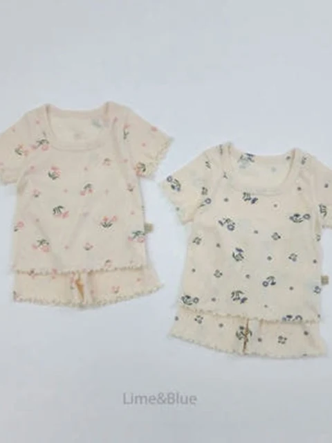 Cosmos Set