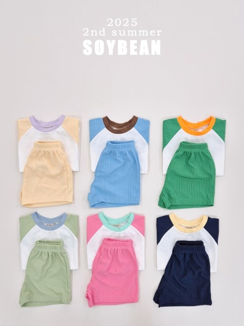 Color Pleated Set