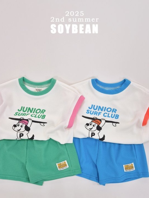 Surfing Puppy Set