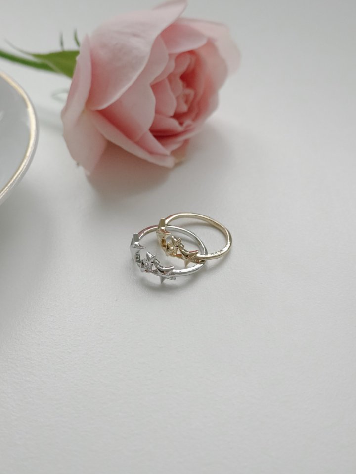 Eeiitt - Korean Women Fashion - #momslook - Universe Star Ring - 8