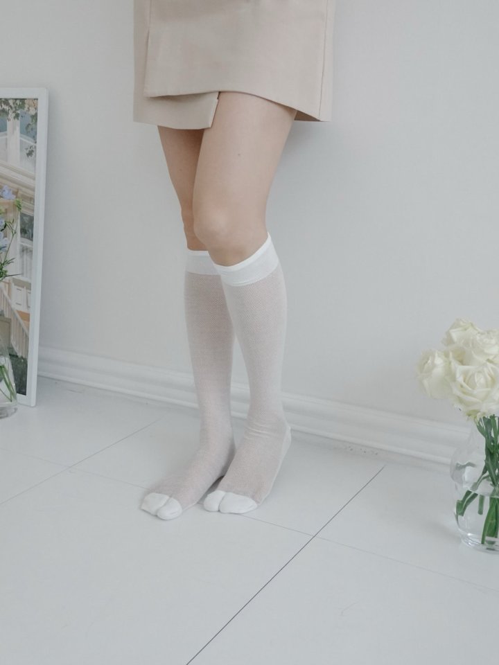 Eeiitt - Korean Women Fashion - #thatsdarling - Tabby Mesh Knee Socks - 3