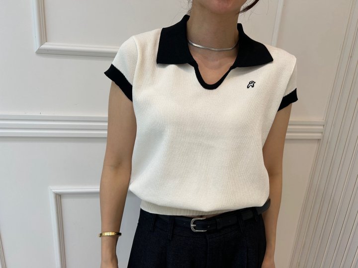 Pearls room - Korean Women Fashion - #womensfashion - Contrast Embroidery Short Sleeve Collar Knit