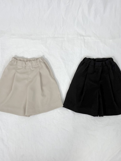 Pleated Skirt Pants