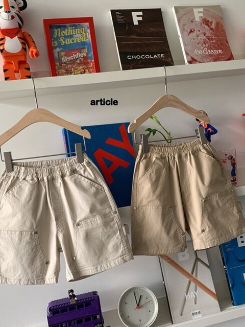 Lake Carpenter Shorts