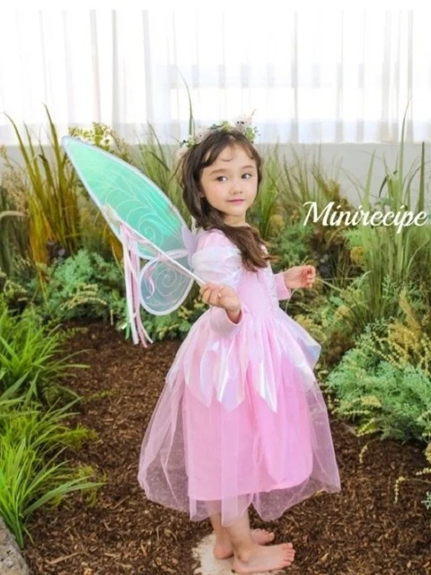 Fairy Wings Fairy Wings