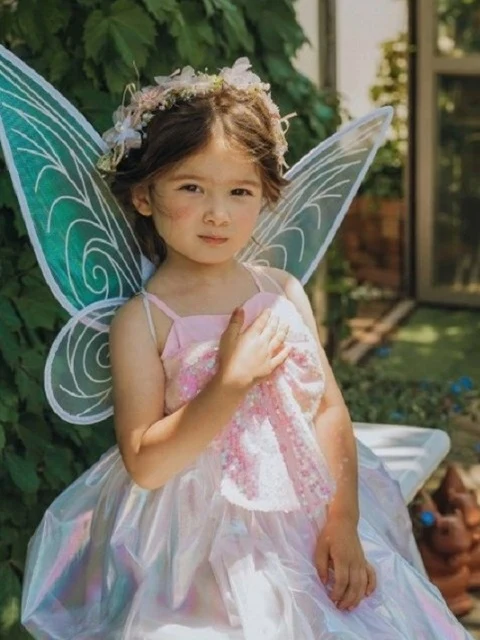 Fairy Wings Fairy Wings