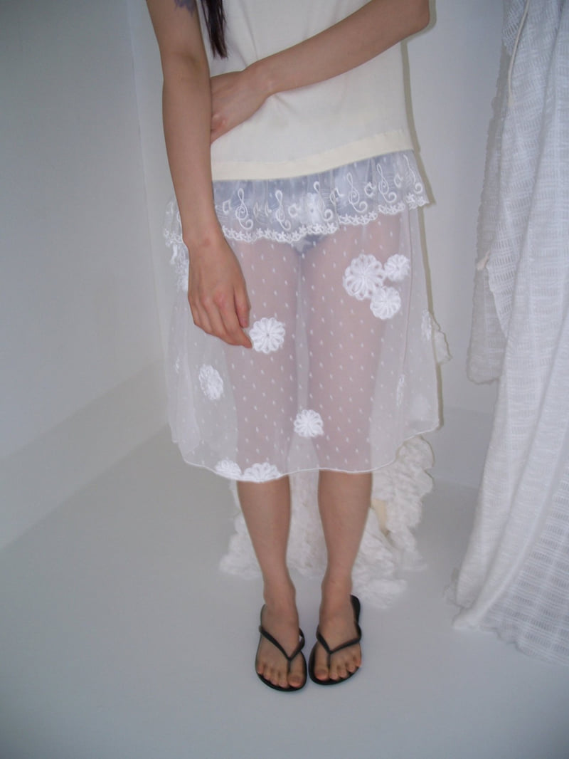 Flash - Korean Women Fashion - #womensfashion - See-through Skirt - 6