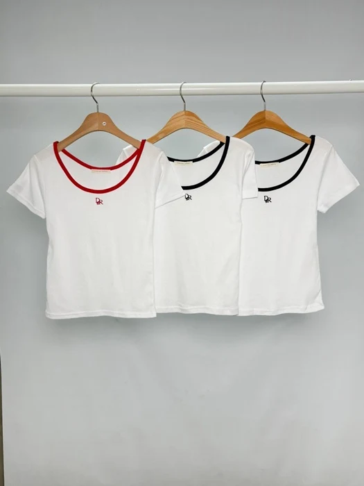 Rose Colorblock Crop Short Sleeve Tee