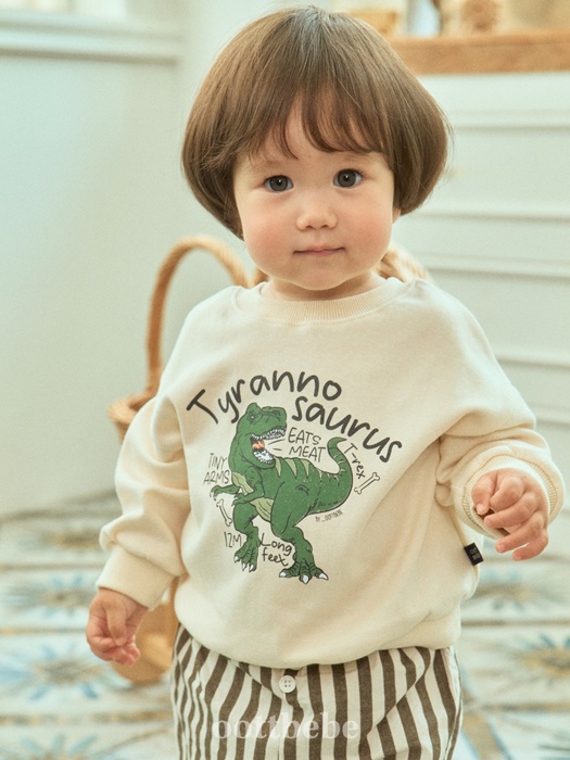 Dino Sweatshirt Dino Sweatshirt