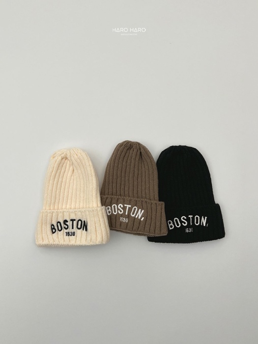 Boston Beanie Boston Beanie