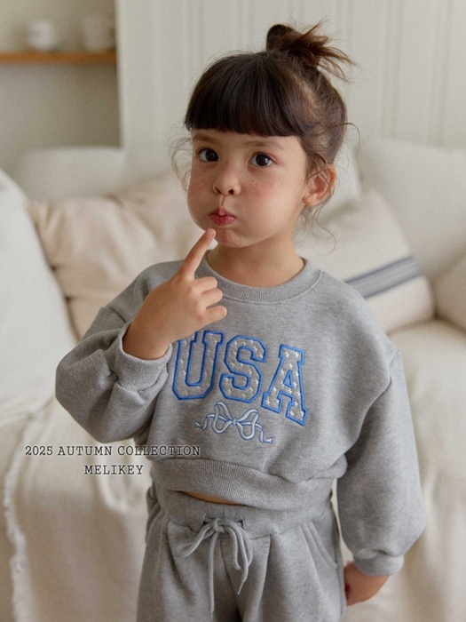 USA Short Sweatshirt