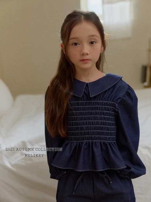 Smoked Collar Blouse