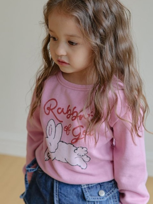 Rabbit Slim Sweatshirt