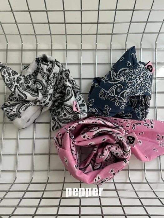 Paisley Kerchief Paisley Kerchief