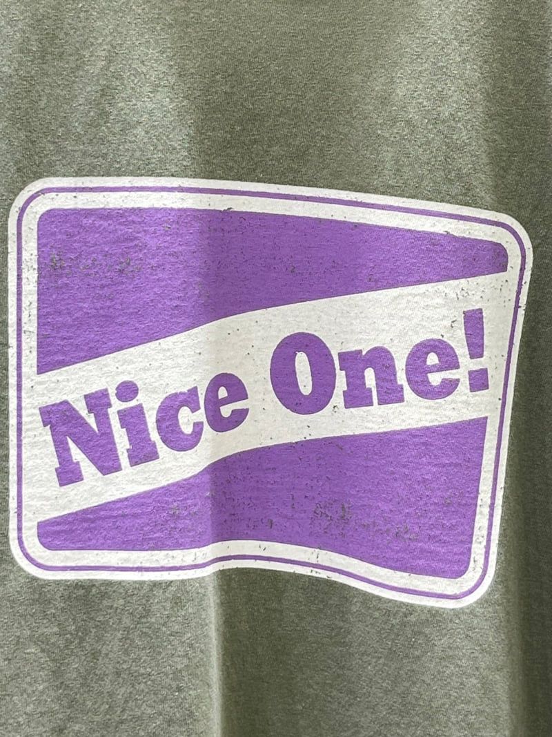 Another Plan - Korean Women Fashion - #pursuepretty - Nice One Pig Tee - 8