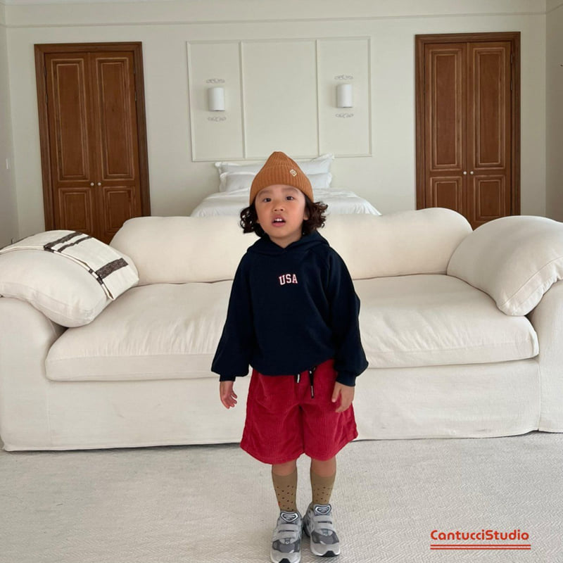Cantucci Studio - Korean Baby Fashion - #babyboutiqueclothing - America Hoodie - 6