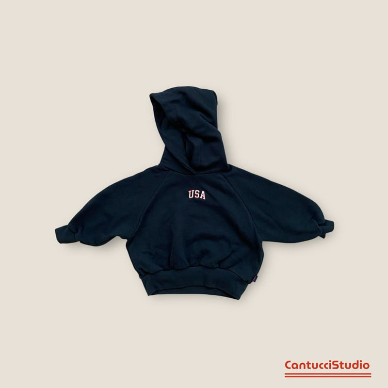 Cantucci Studio - Korean Baby Fashion - #onlinebabyshop - America Hoodie - 3