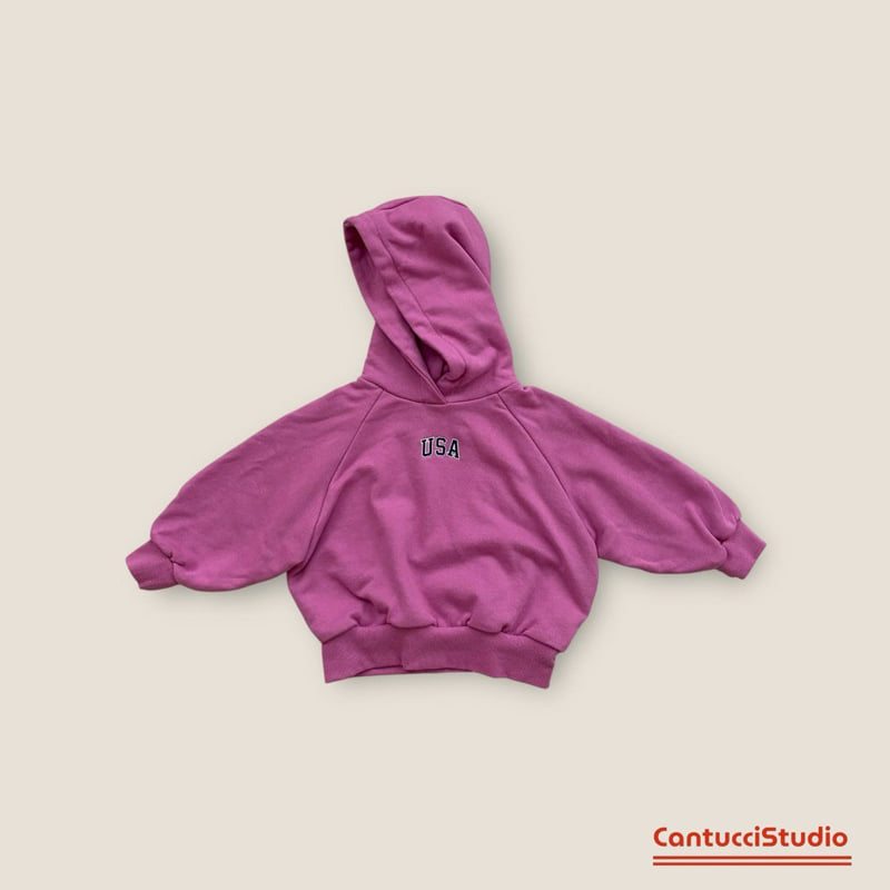 Cantucci Studio - Korean Baby Fashion - #onlinebabyshop - America Hoodie - 4