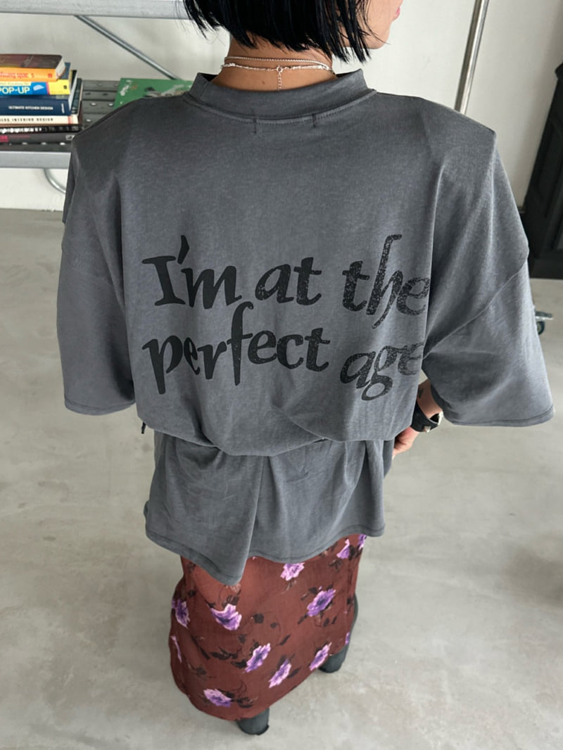 Chavi - Korean Women Fashion - #momslook - Perfect Pig Box Tee - 7