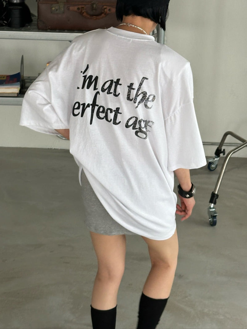 Chavi - Korean Women Fashion - #vintagekidsstyle - Perfect Pig Box Tee - 12