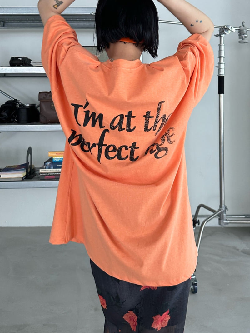 Chavi - Korean Women Fashion - #momslook - Perfect Pig Box Tee - 4