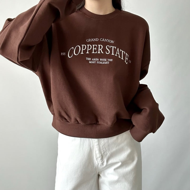 Pastel Deer - Korean Women Fashion - #pursuepretty - Copper Crop Sweatshirt