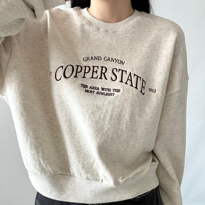 Pastel Deer - Korean Women Fashion - #romanticstyle - Copper Crop Sweatshirt - 3