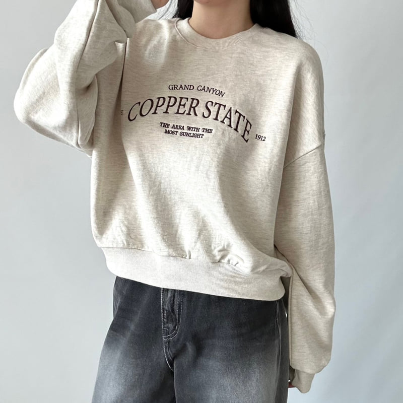 Pastel Deer - Korean Women Fashion - #romanticstyle - Copper Crop Sweatshirt - 4