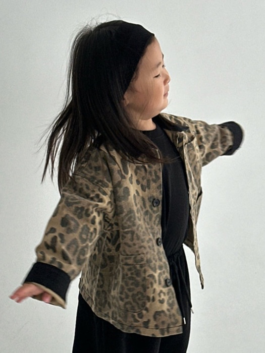 Leopard Jumper