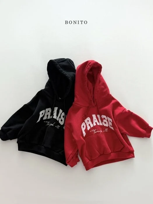 Praise Hoodie Tee