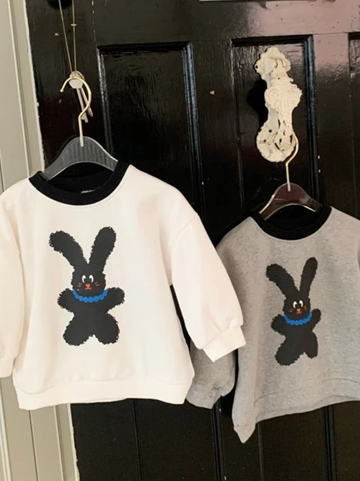 Poodle Sweatshirt Poodle Sweatshirt