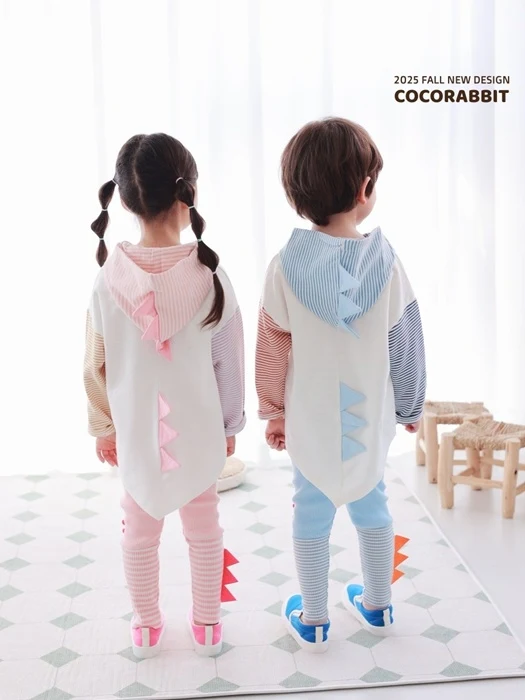 Dinosaur Hoodie
