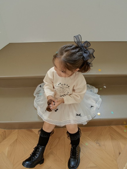 Ribbon Tulle Skirt Ribbon Tulle Skirt