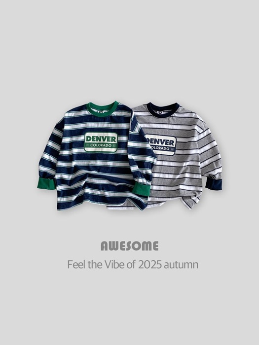 Denver Stripe Sweatshirt