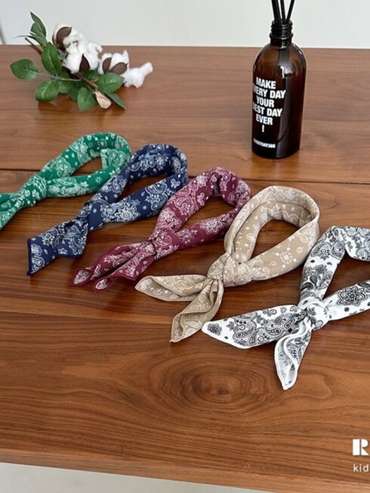 Paisley Scarf