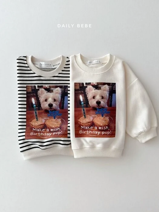 Birthday Sweatshirt (Stripe)