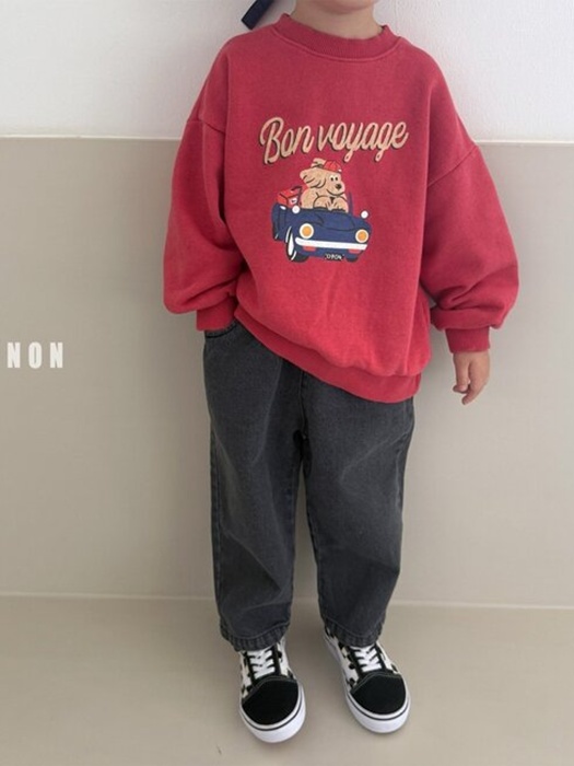 Travel Sweatshirt