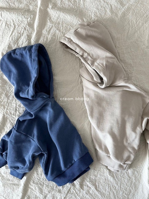 Pigment Hoodie
