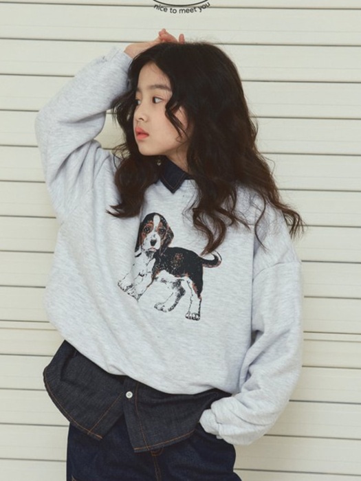 Beagle Sweatshirt Beagle Sweatshirt