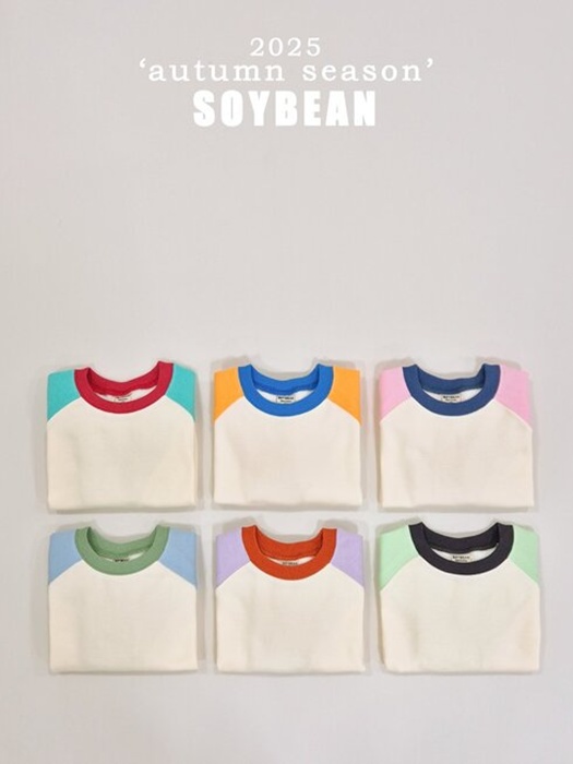 Color Pang Sweatshirt