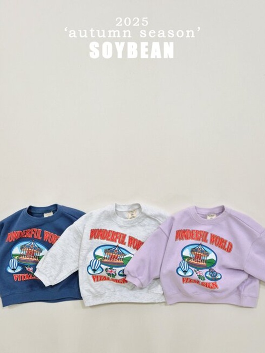 Amusement Park Sweatshirt Amusement Park Sweatshirt