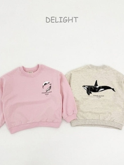 Orca Sweatshirt (Adult)