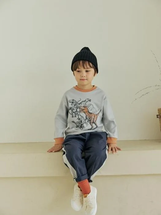 Dino Raglan Tee