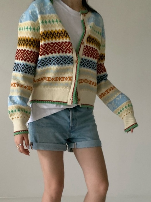 Argyle Cardigan Argyle Cardigan